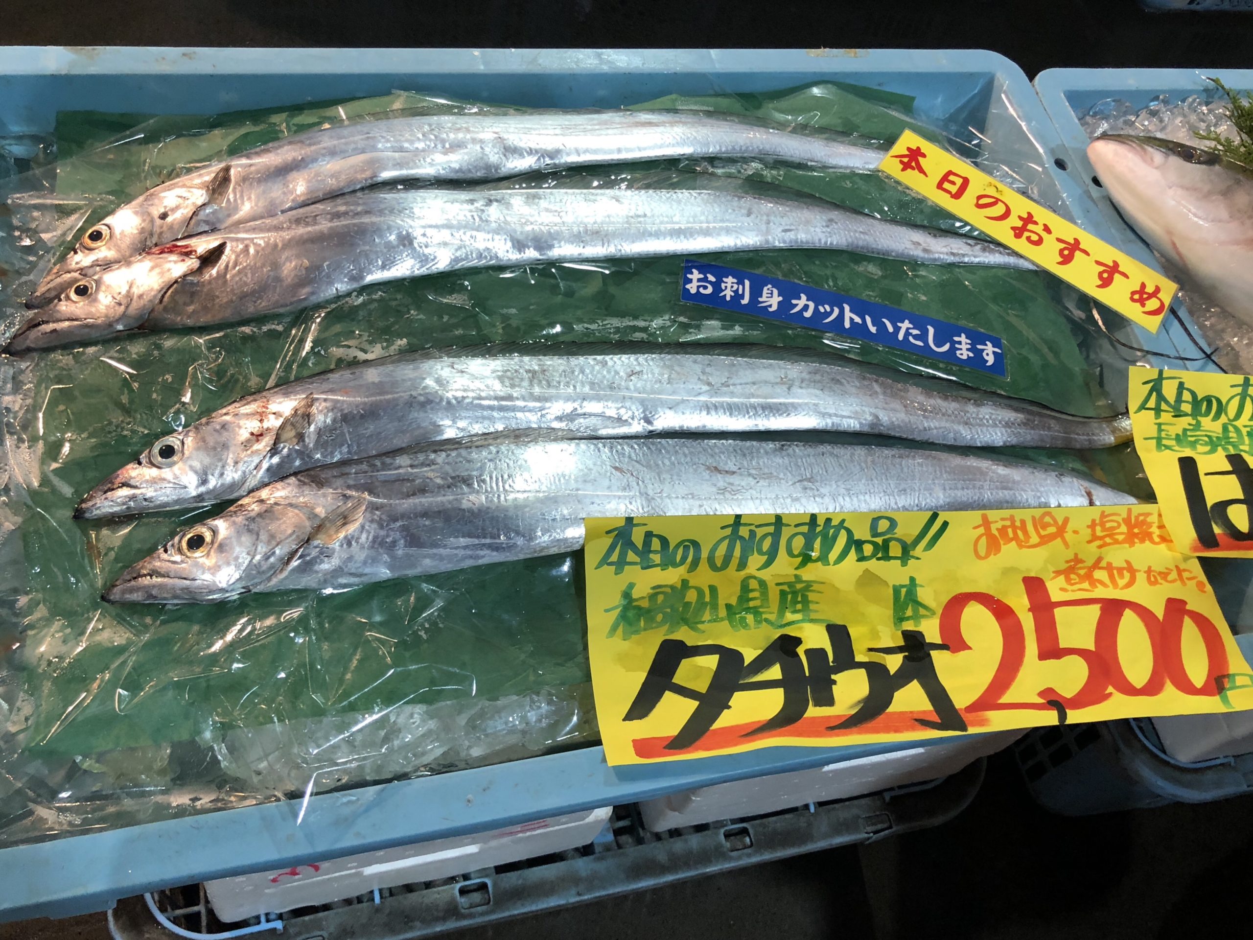 タチウオ釣りのまとめ 武庫川一文字のタチウオ情報等 はまちの釣りブログ 兵庫県の釣り